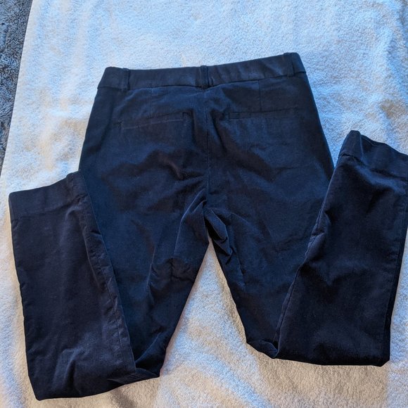Banana Republic Sloan Velvet Pants (Blue) - Picture 2 of 4